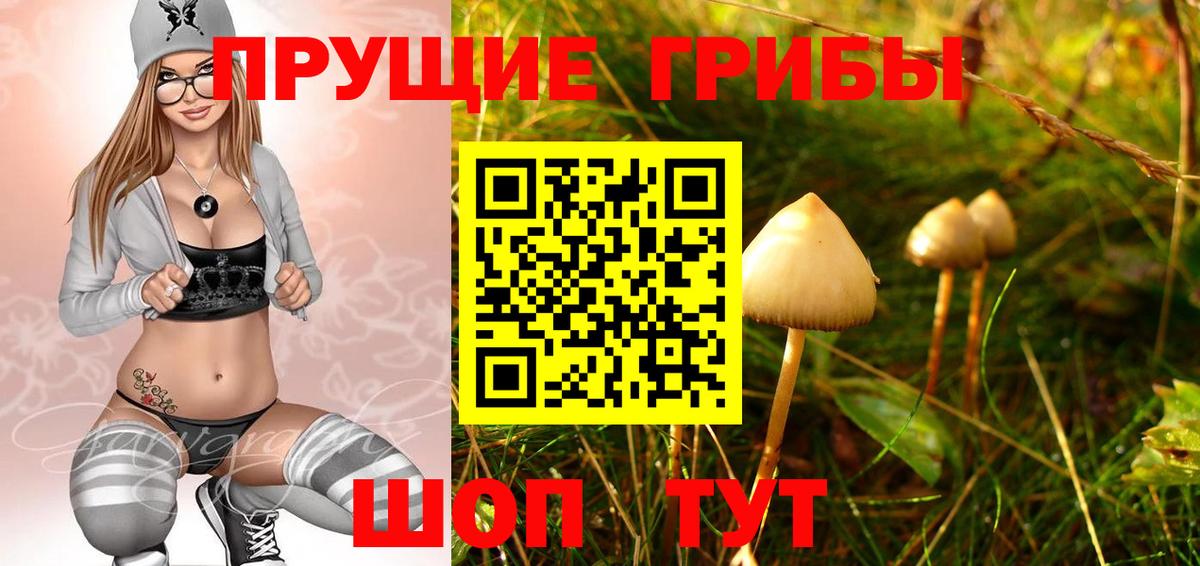 Псилоцибиновые грибы мицелий Муром