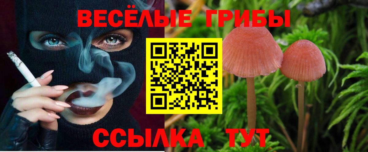Галлюциногенные грибы мицелий  Галлюциногенные грибы ЛСД  Муром  Вход с VPN 